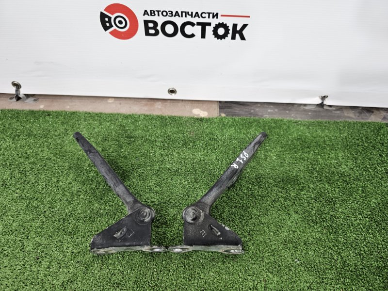 Петля капота, 3000 рублей, Пешки