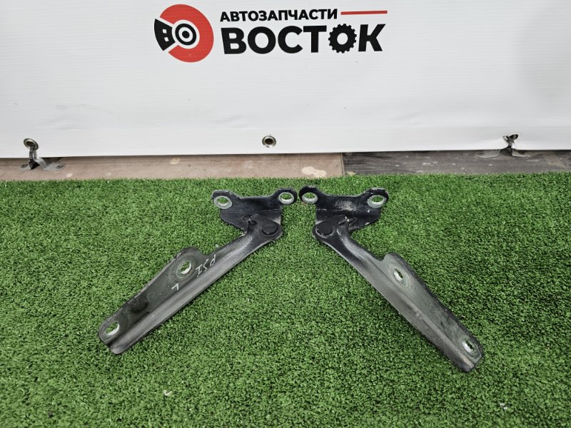 Петля капота, 3000 рублей, Пешки