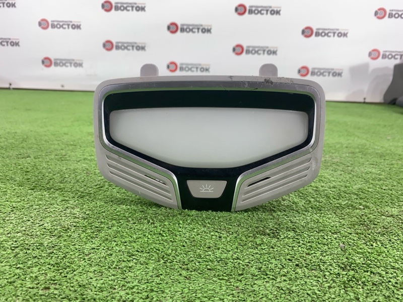 Плафон подсветки салона, 2000 рублей, Пешки