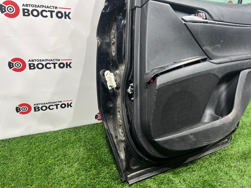 Дверь, 55000 рублей, Пешки