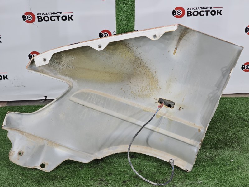 Крыло, 10000 рублей, Пешки