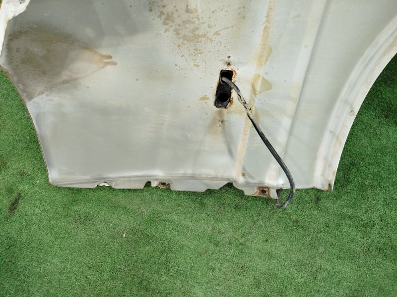 Крыло, 10000 рублей, Пешки