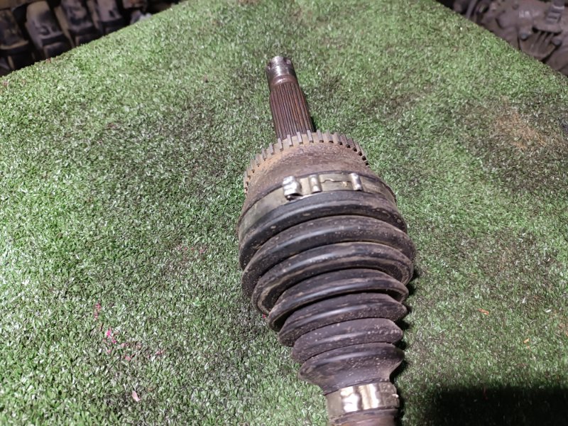 Привод, 12000 рублей, Пешки