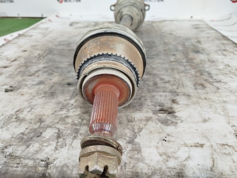 Привод, 10000 рублей, Пешки