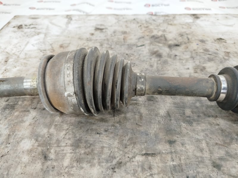 Привод, 8000 рублей, Пешки