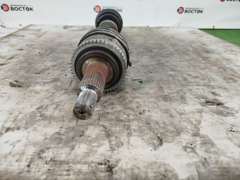 Привод, 10000 рублей, Пешки