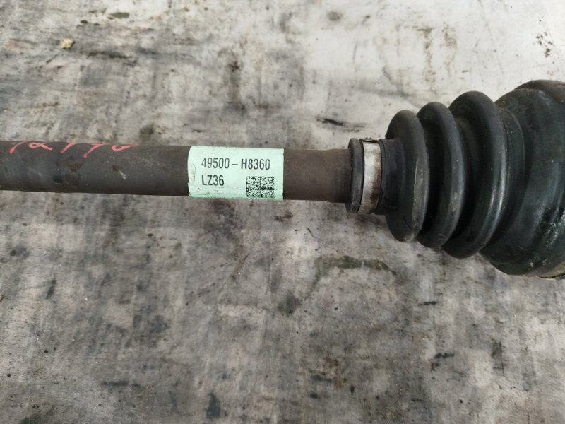 Привод, 6000 рублей, Пешки