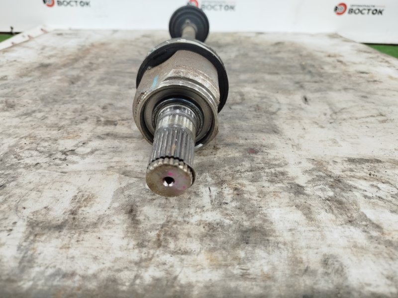 Привод, 6000 рублей, Пешки