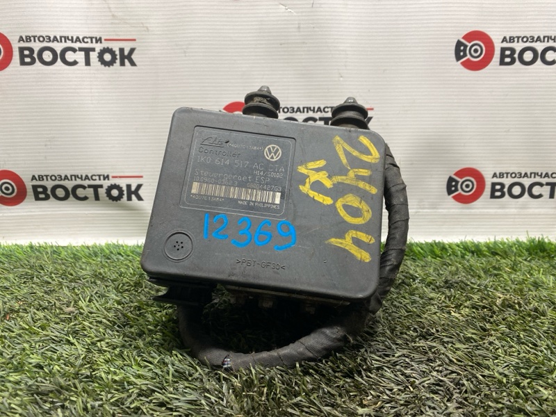 Блок ABS, 8000 рублей, Пешки