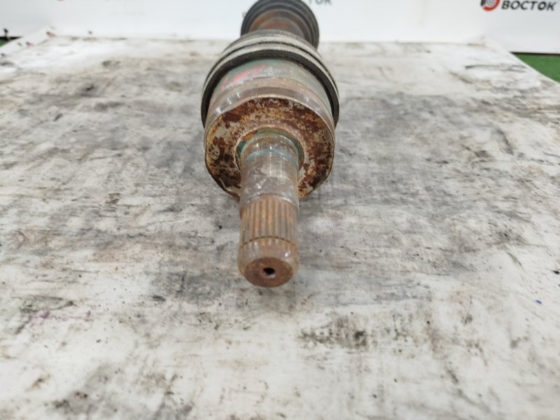 Привод, 8000 рублей, Пешки