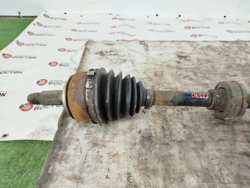 Привод, 15000 рублей, Пешки