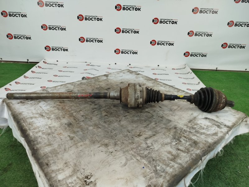 Привод, 10000 рублей, Пешки