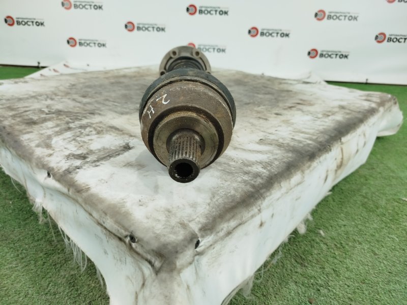 Привод, 10000 рублей, Пешки