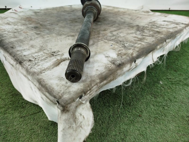 Привод, 15000 рублей, Пешки