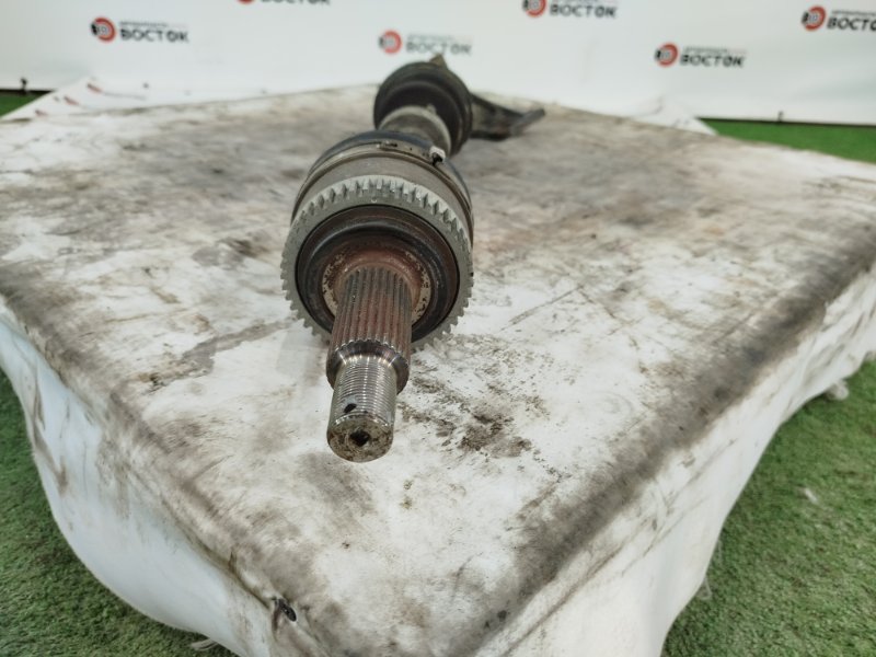 Привод, 14000 рублей, Пешки