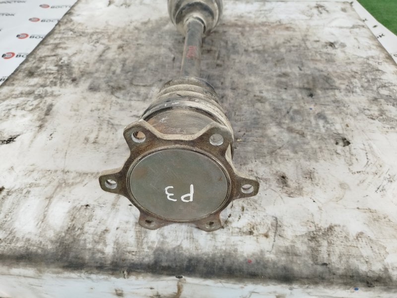 Привод, 10000 рублей, Пешки