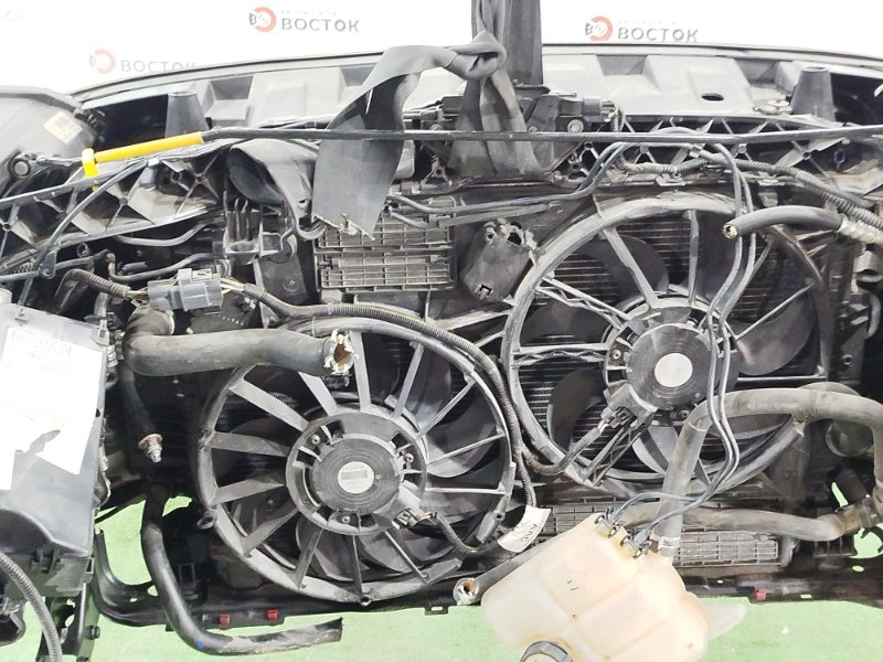 НОУСКАТ, 150000 рублей, Пешки