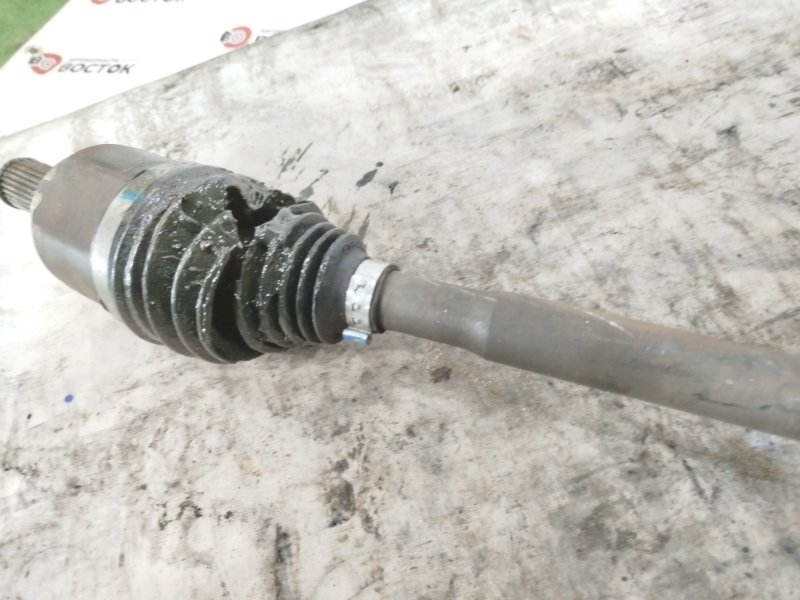 Привод, 8000 рублей, Пешки