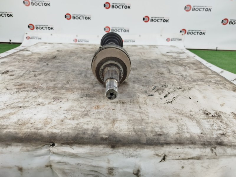 Привод, 10000 рублей, Пешки