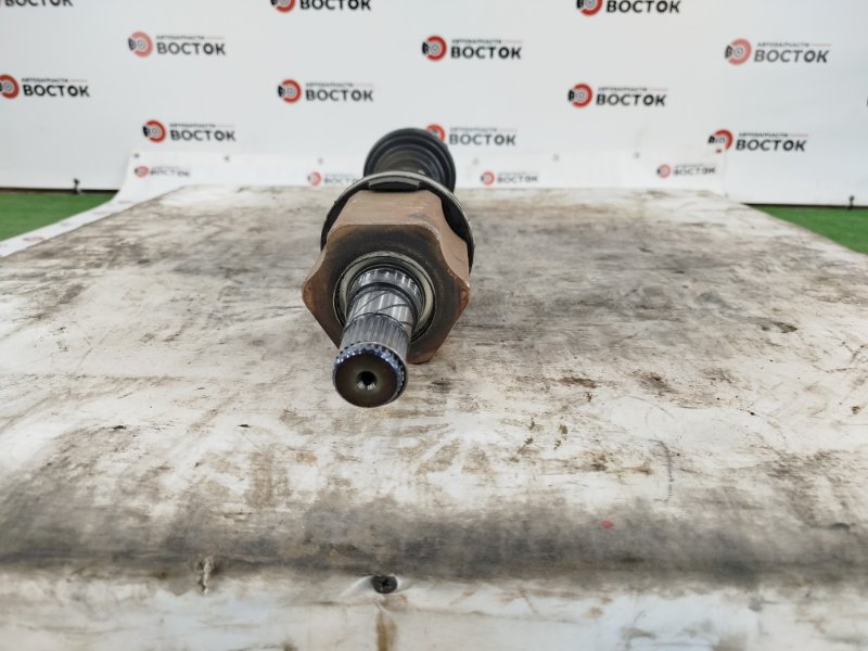 Привод, 10000 рублей, Пешки