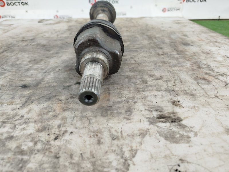 Привод, 8000 рублей, Пешки