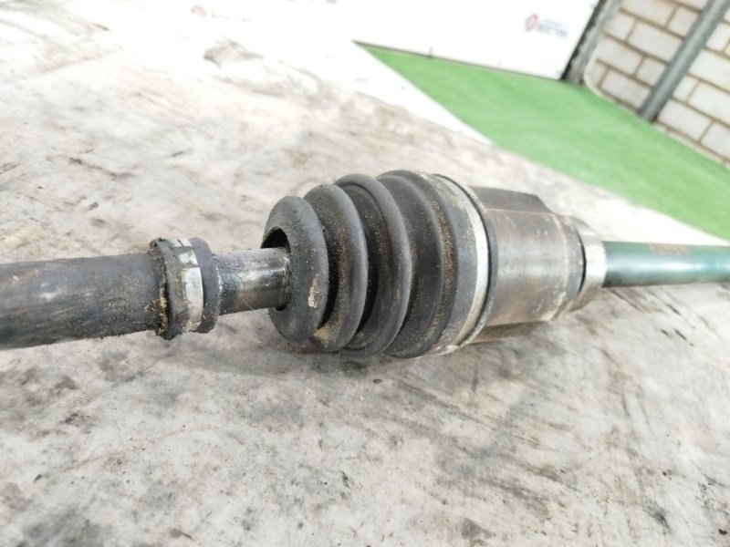 Привод, 15000 рублей, Пешки