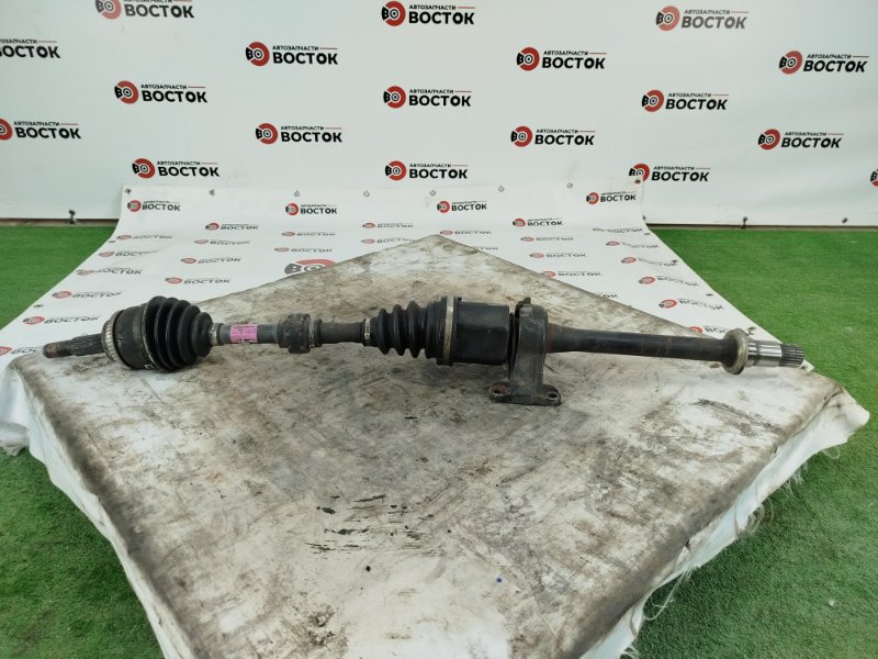 Привод, 12000 рублей, Пешки