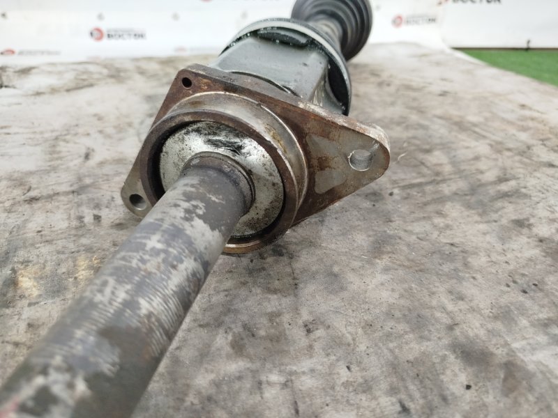 Привод, 20000 рублей, Пешки