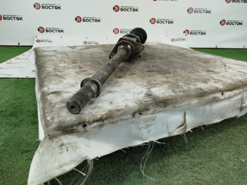 Привод, 20000 рублей, Пешки