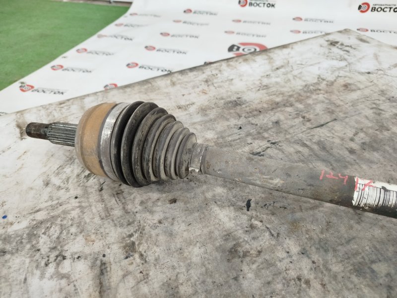 Привод, 10000 рублей, Пешки