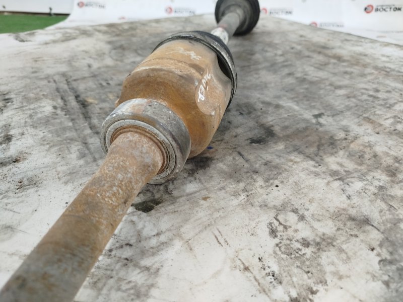 Привод, 10000 рублей, Пешки