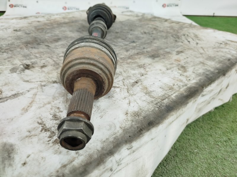 Привод, 10000 рублей, Пешки