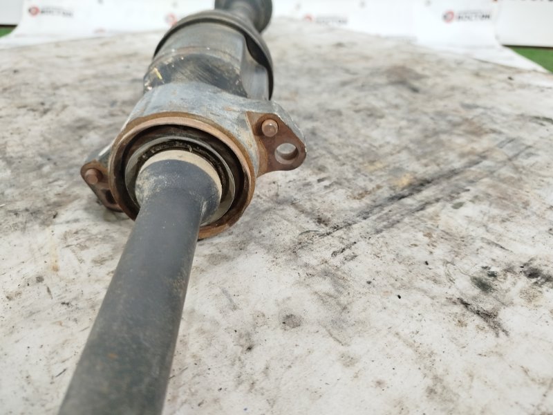 Привод, 10000 рублей, Пешки