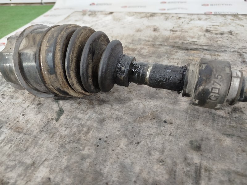 Привод, 4000 рублей, Пешки