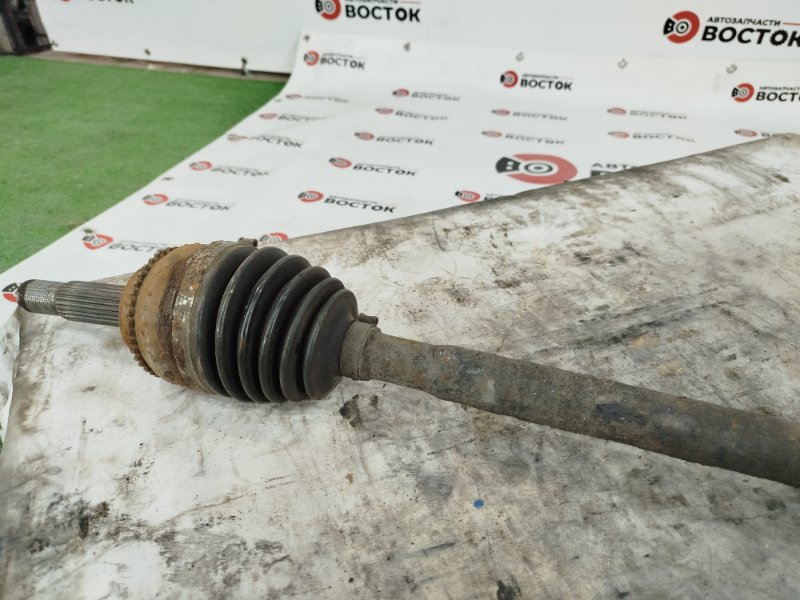 Привод, 5000 рублей, Пешки