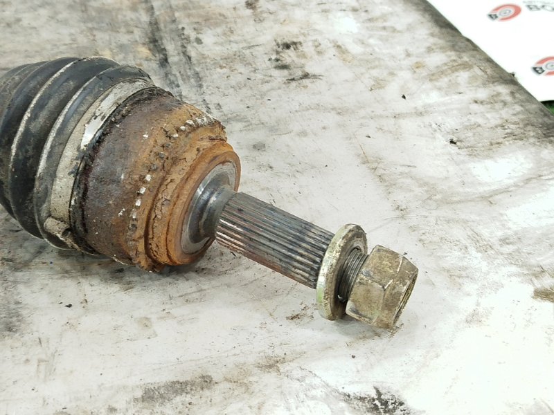 Привод, 12000 рублей, Пешки