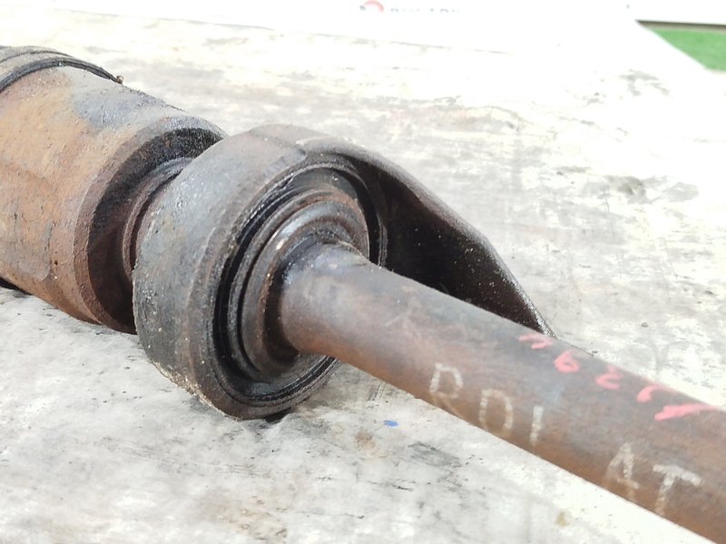 Привод, 15000 рублей, Пешки