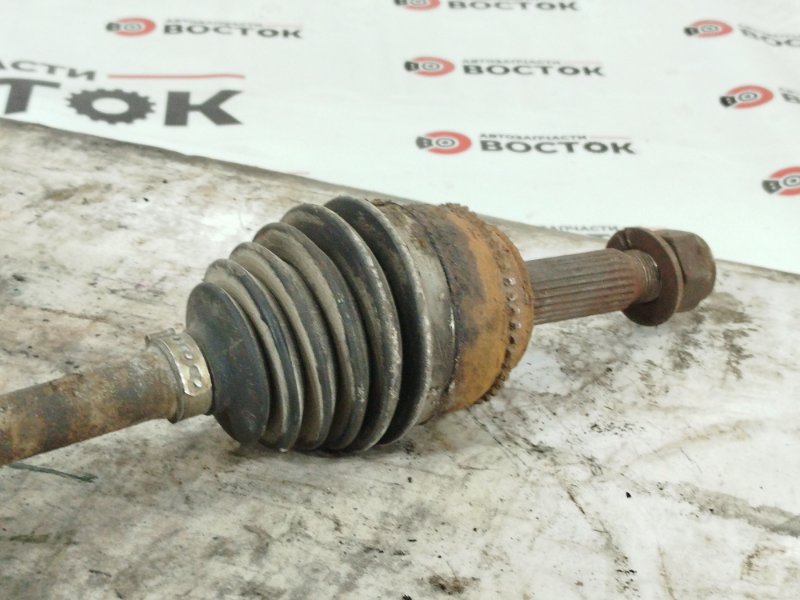 Привод, 10000 рублей, Пешки