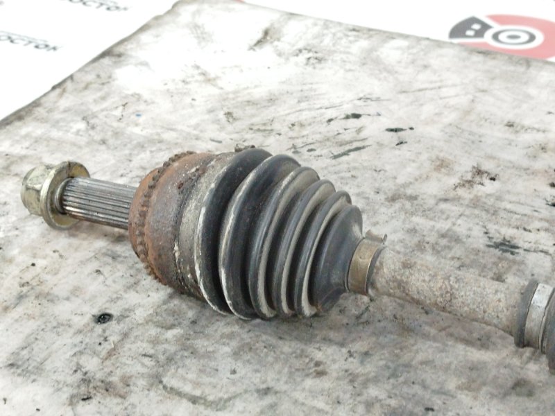 Привод, 10000 рублей, Пешки