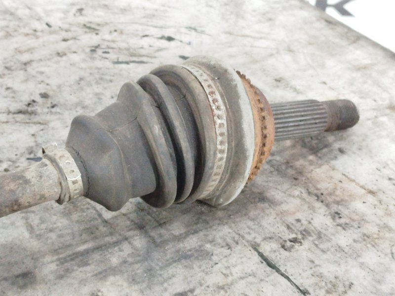 Привод, 10000 рублей, Пешки