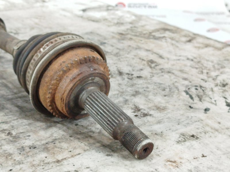 Привод, 10000 рублей, Пешки