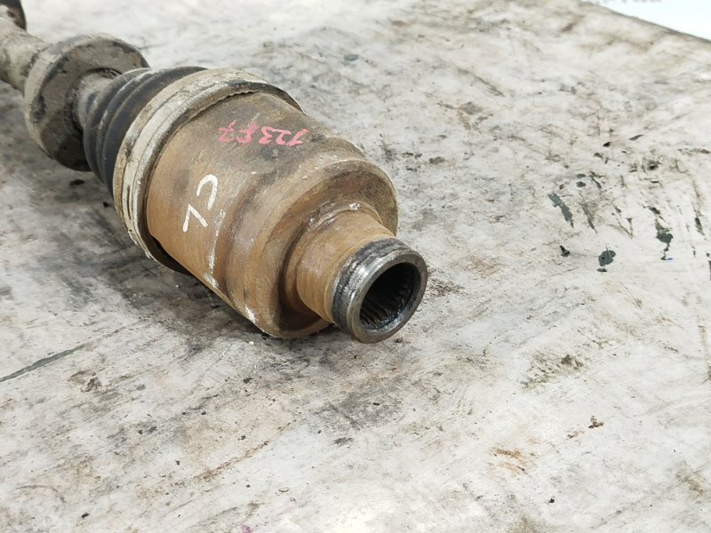 Привод, 12000 рублей, Пешки