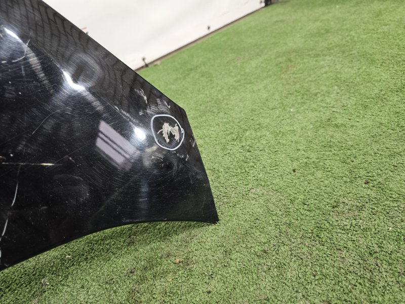 Капот, 15000 рублей, Пешки