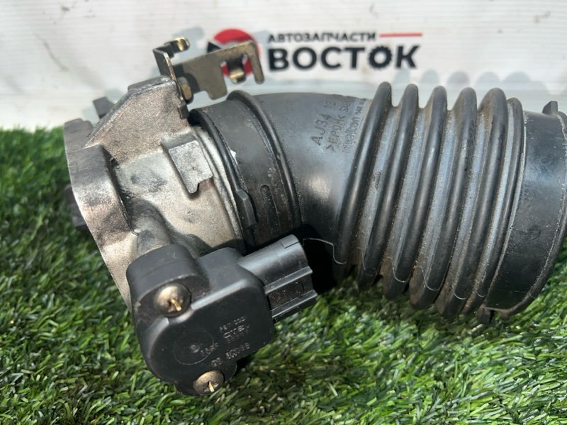 Дроссельная заслонка, 4000 рублей, Пешки