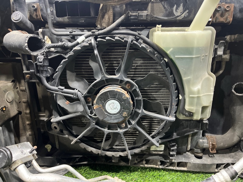 НОУСКАТ, 100000 рублей, Пешки