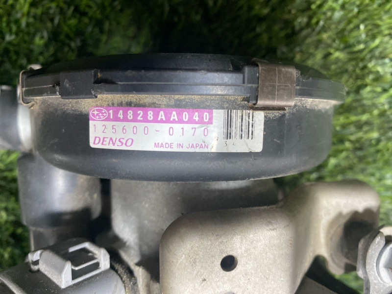 Помпа, 5000 рублей, Пешки