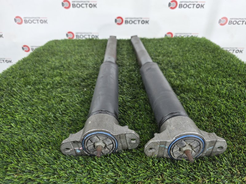 Амортизатор подвески, 2000 рублей, Пешки