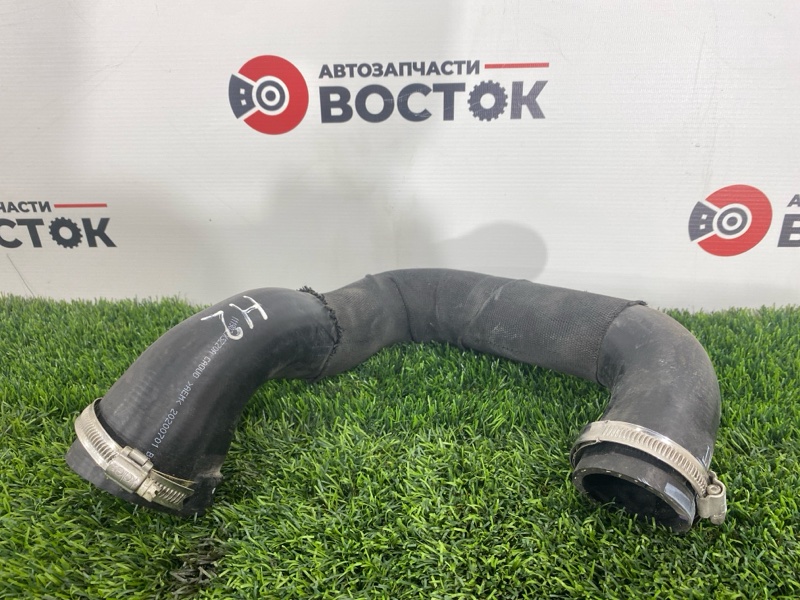 Патрубок интеркулера, 3000 рублей, Пешки