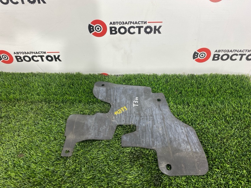 Подкрылок, 1000 рублей, Пешки