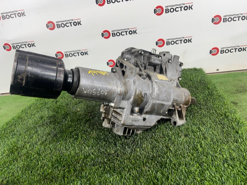 Раздатка, 25000 рублей, Пешки